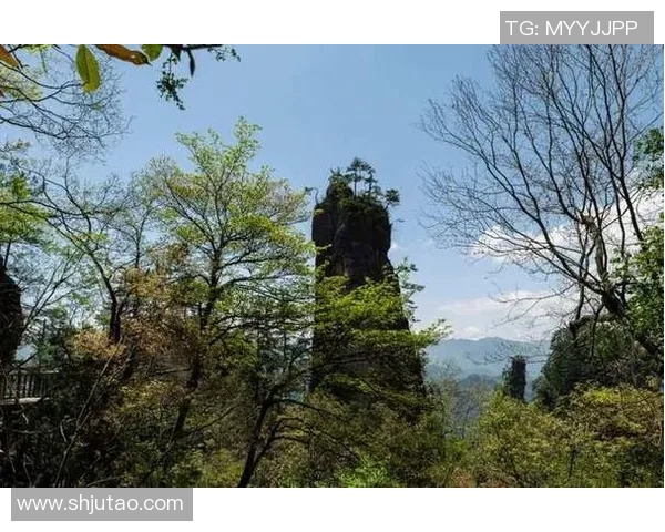 乌栖沙岩与自然奇观的碰撞探索生态之美与人文魅力的交融