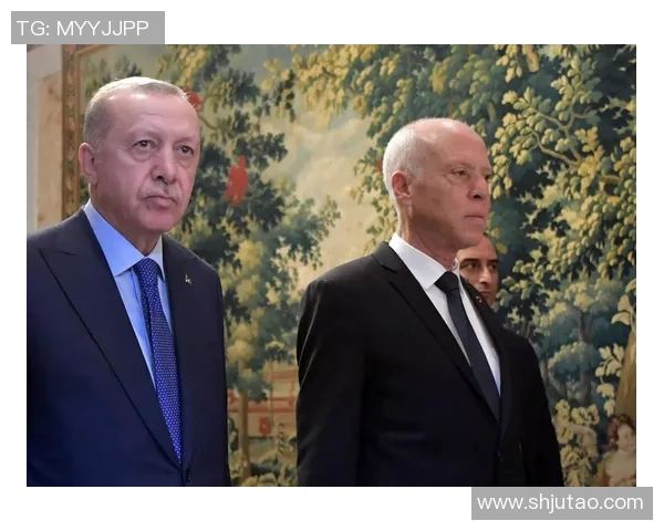 突尼斯西亚与土耳其的精彩对决分析与赛前预测