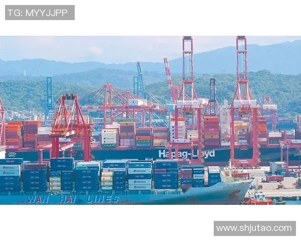 香港的免费视频直播平台对比分析与发展趋势探讨