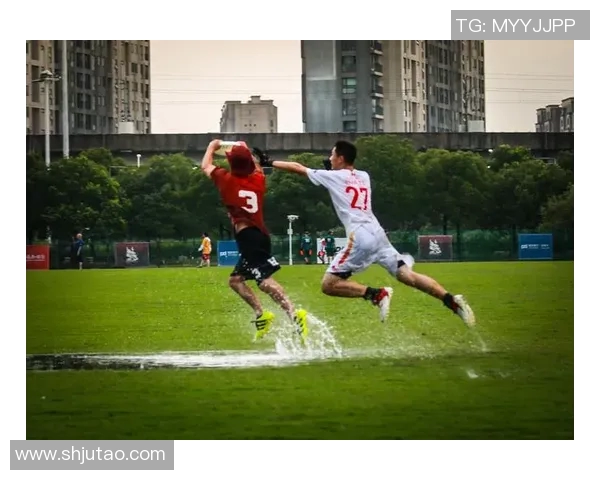 飞盘战术解析：西安飞盘队高效反击体系的构建与应用MBA